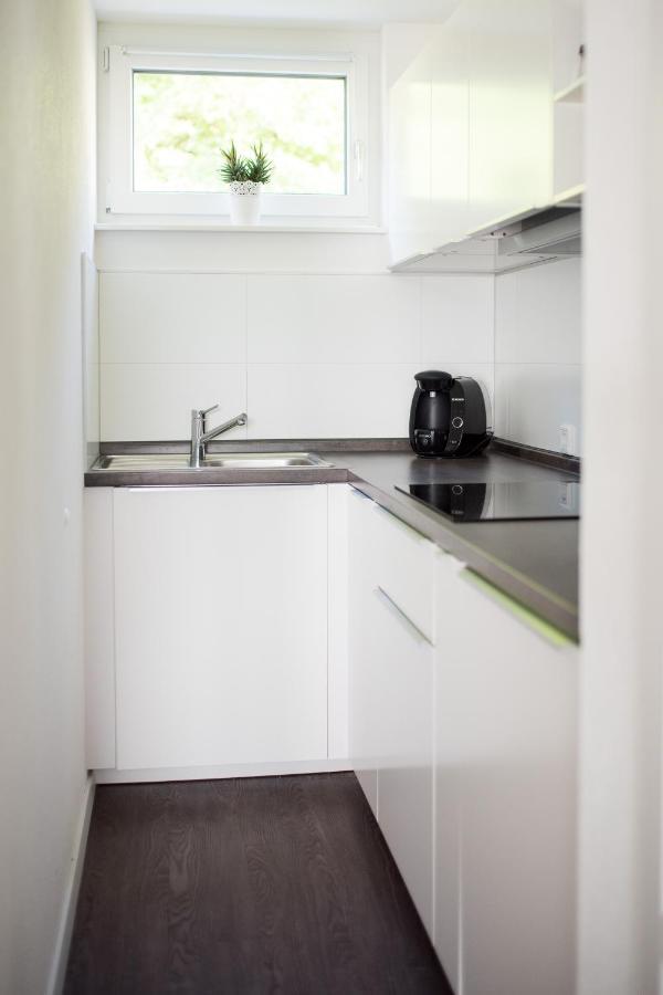 Keller Apartment Sulz am Neckar Bagian luar foto